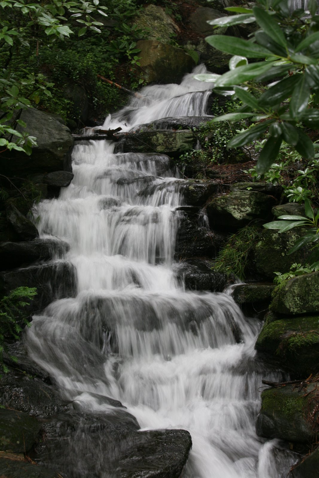 [2008-07-05+1250071.JPG]