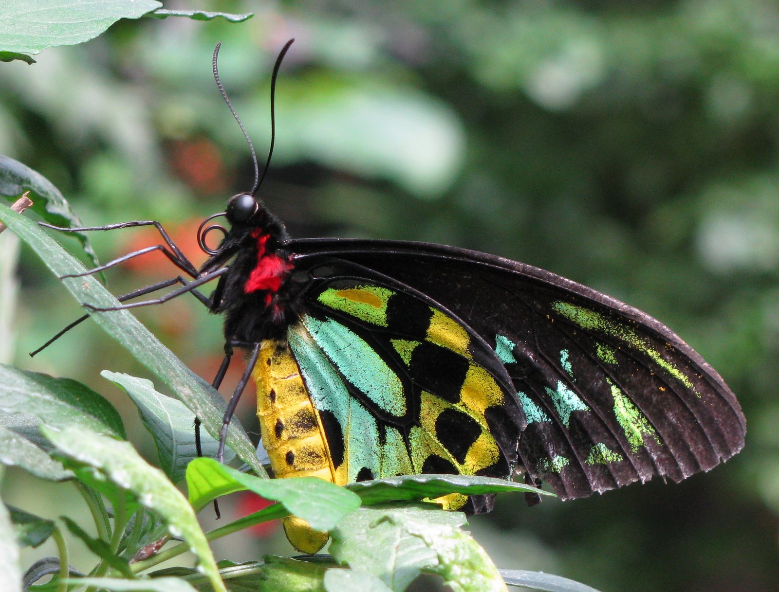 [2008-07-06+1126324.JPG]