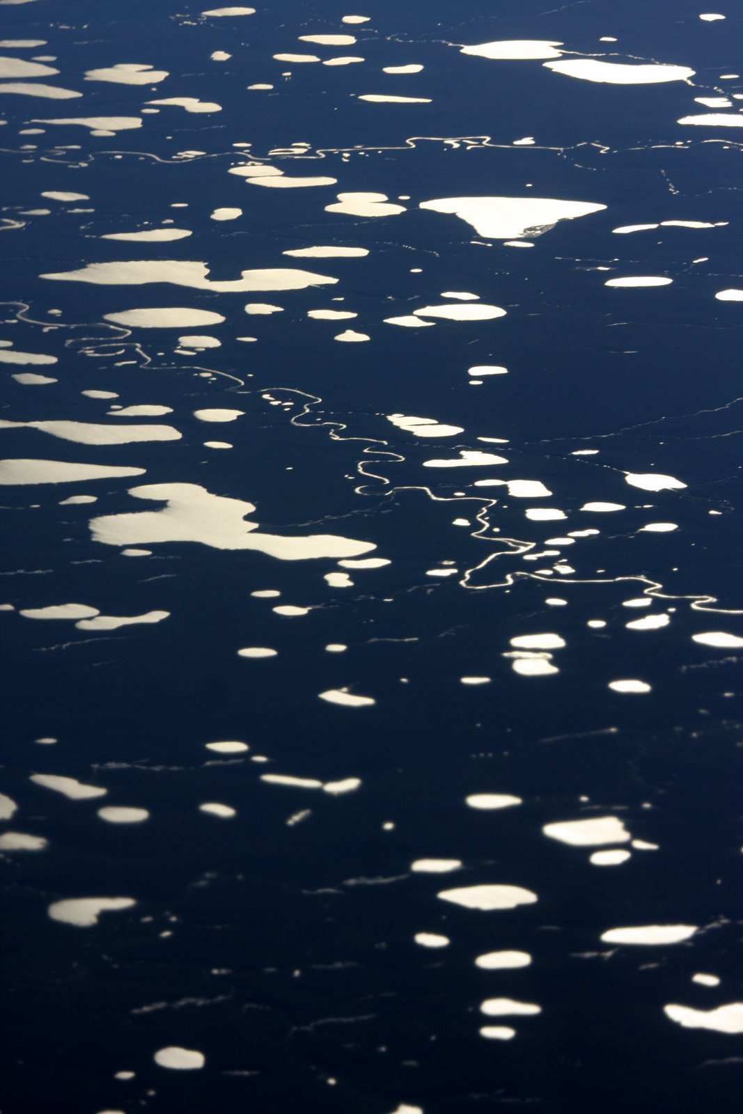 [2008-07-23+1846022.JPG]