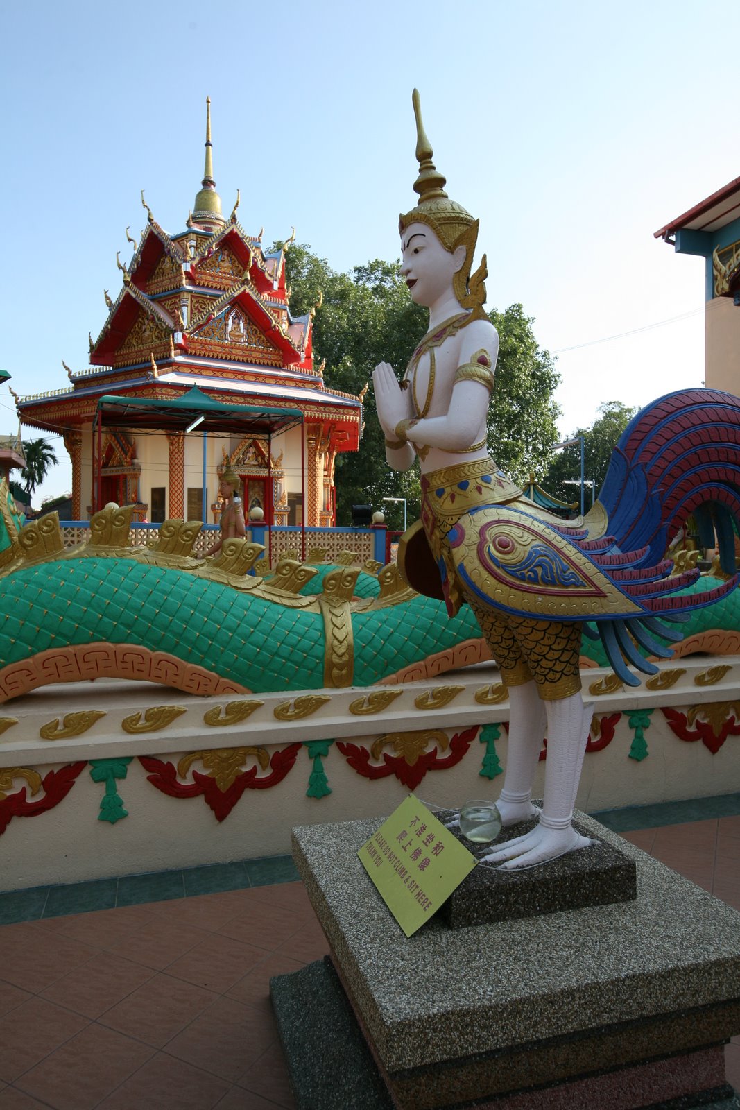 [2008-07-29+0537512.JPG]