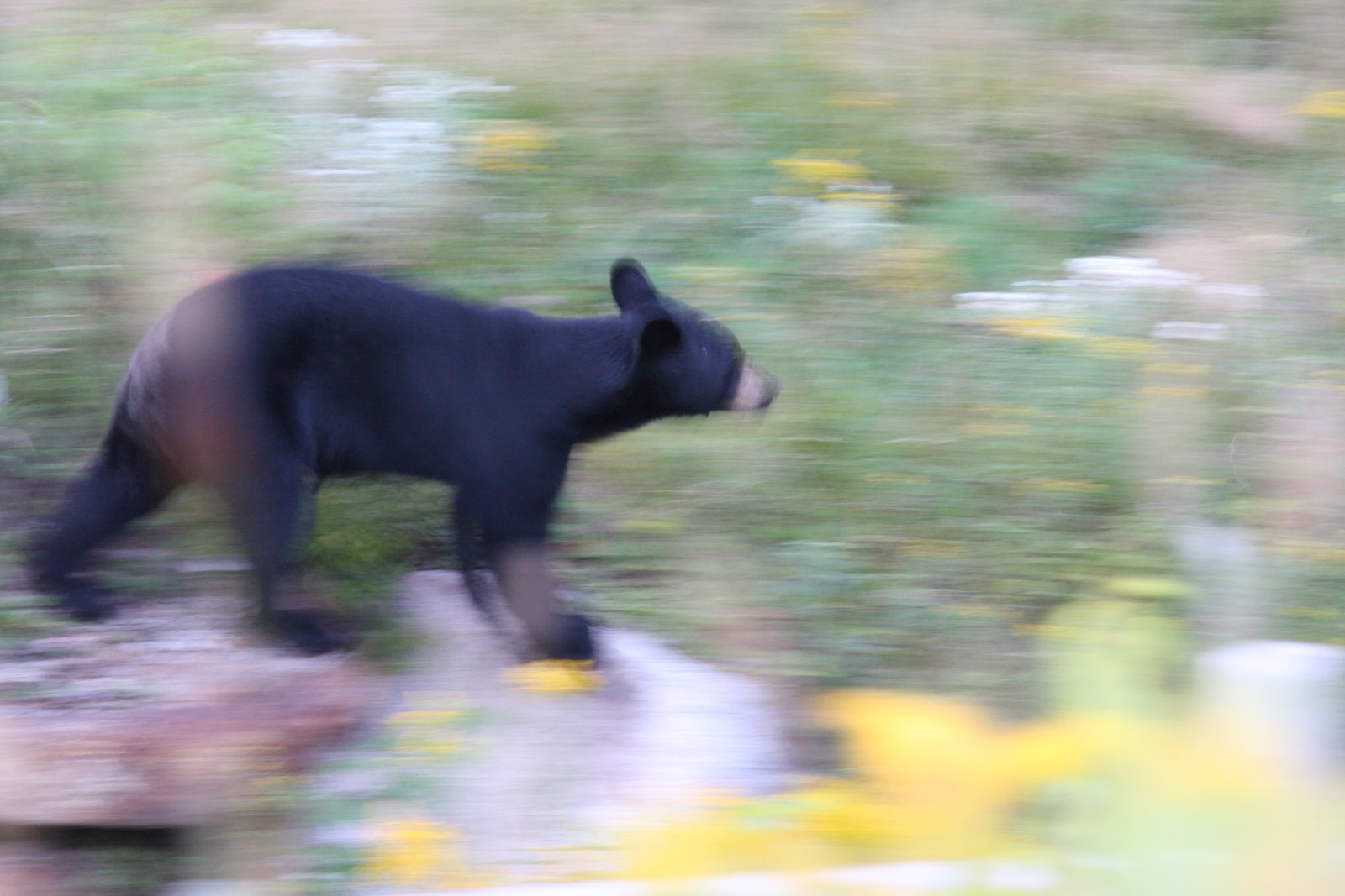 [2008-08-22+1841548.JPG]