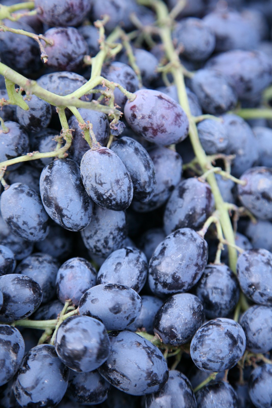 [2008-10-07+2034194.JPG]