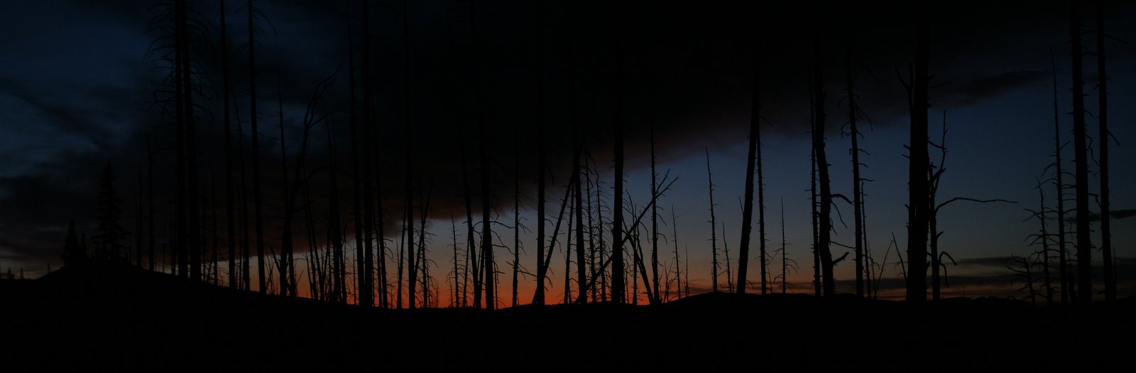 [2008-09-27+2145196.JPG]