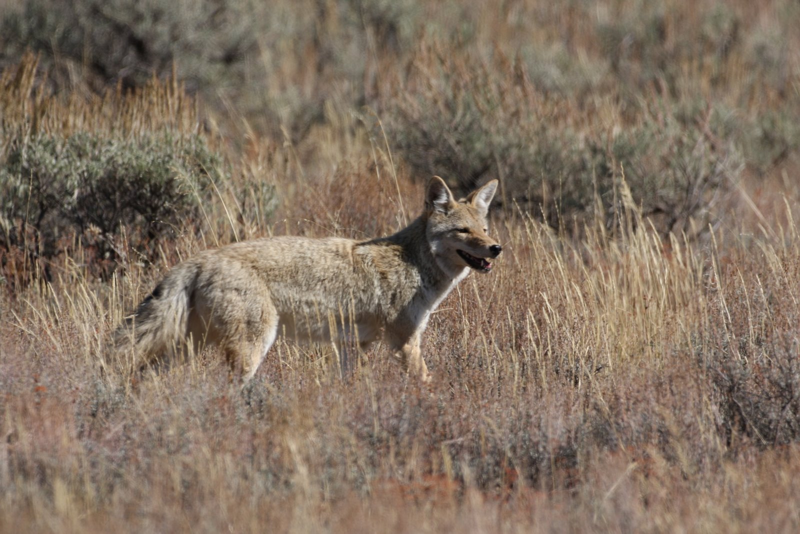 [2008-09-28+1514393.JPG]