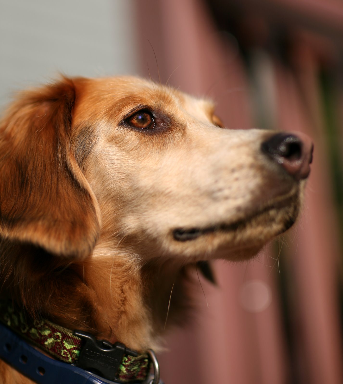 [2008-10-03+0829583.JPG]