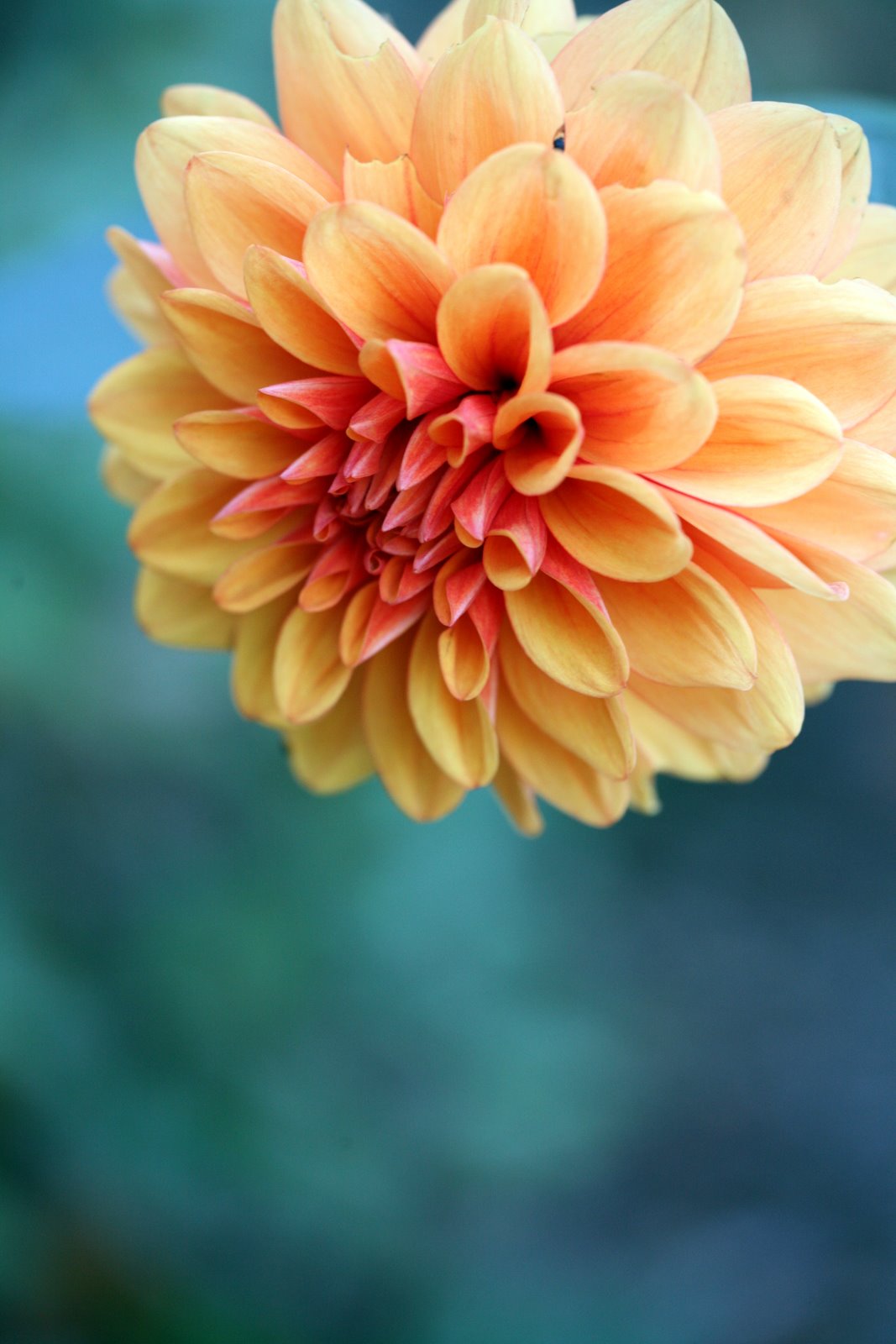 [2008-10-04+0928537.JPG]