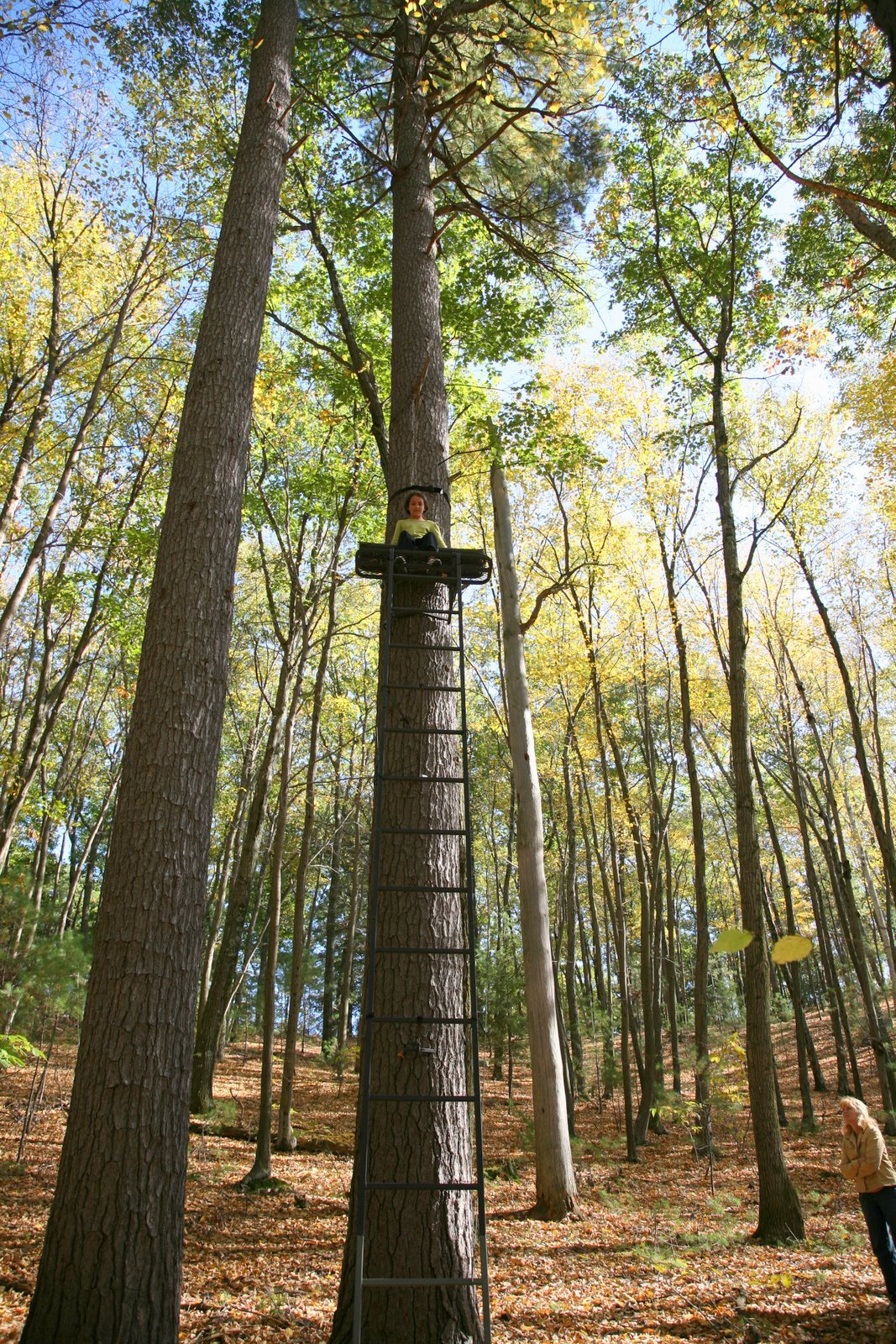 [2008-10-11+1437345.JPG]