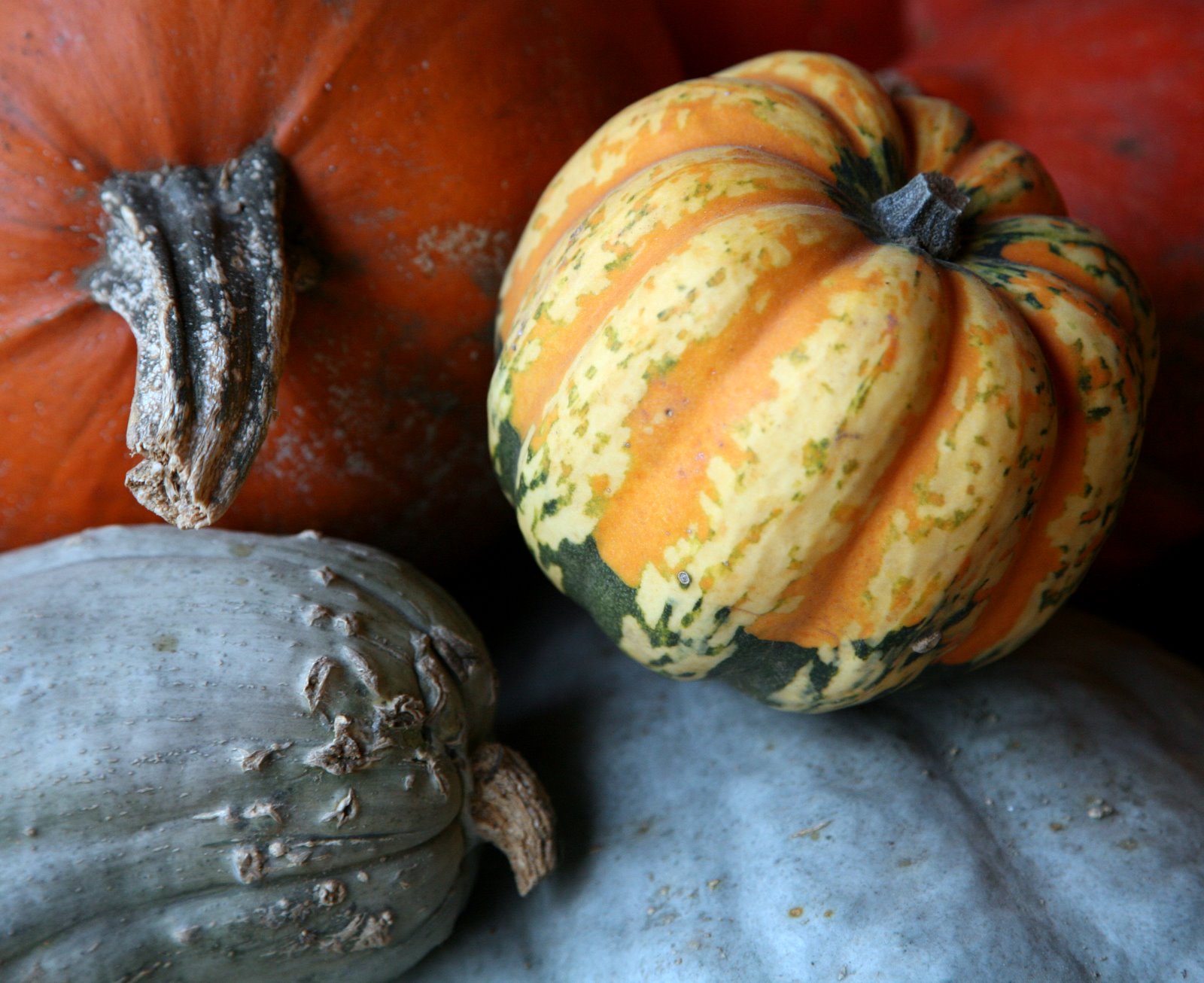 [2008-10-12+1804003.JPG]