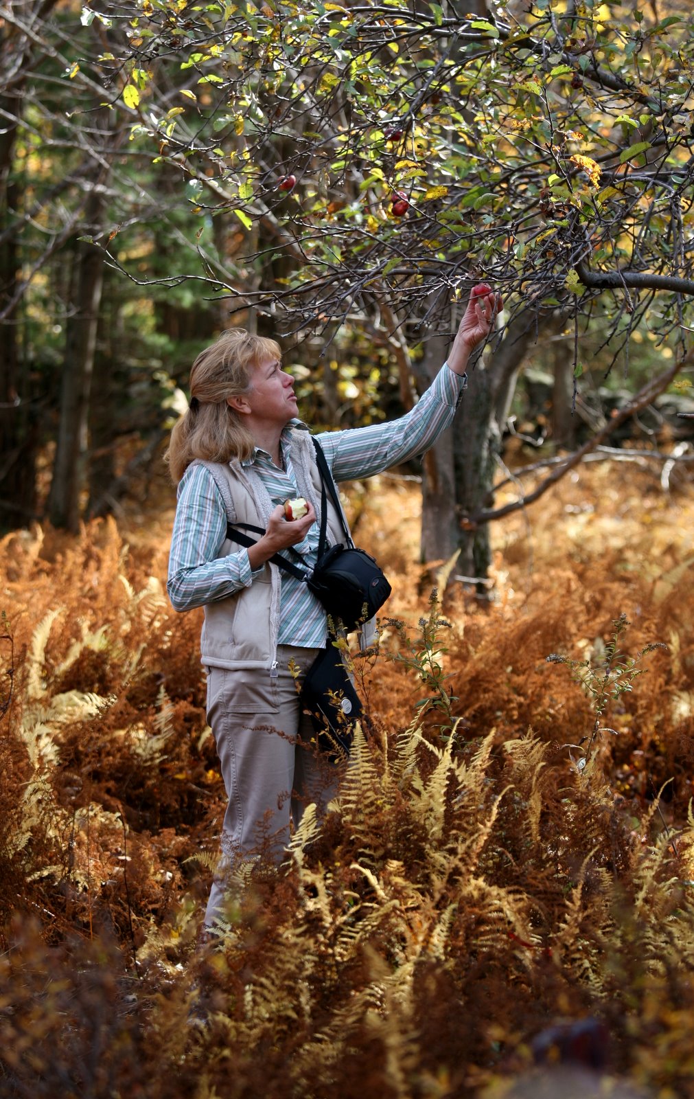 [2008-10-17+1232526.JPG]