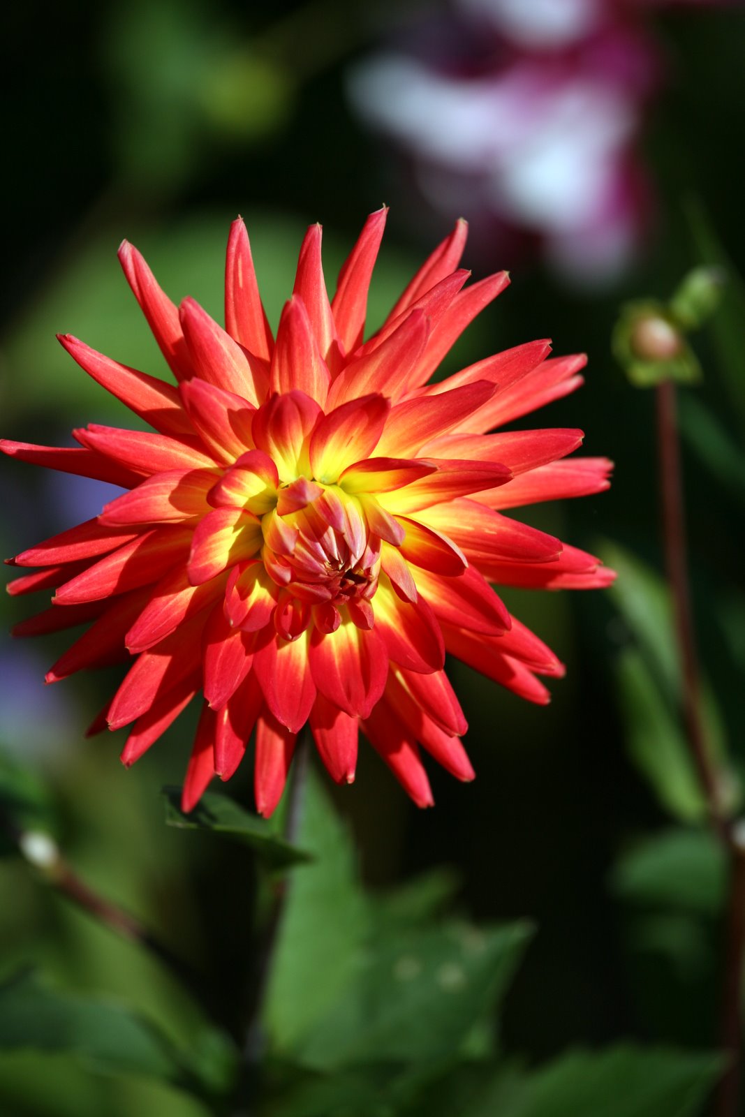 [2008-10-17+1511333.JPG]