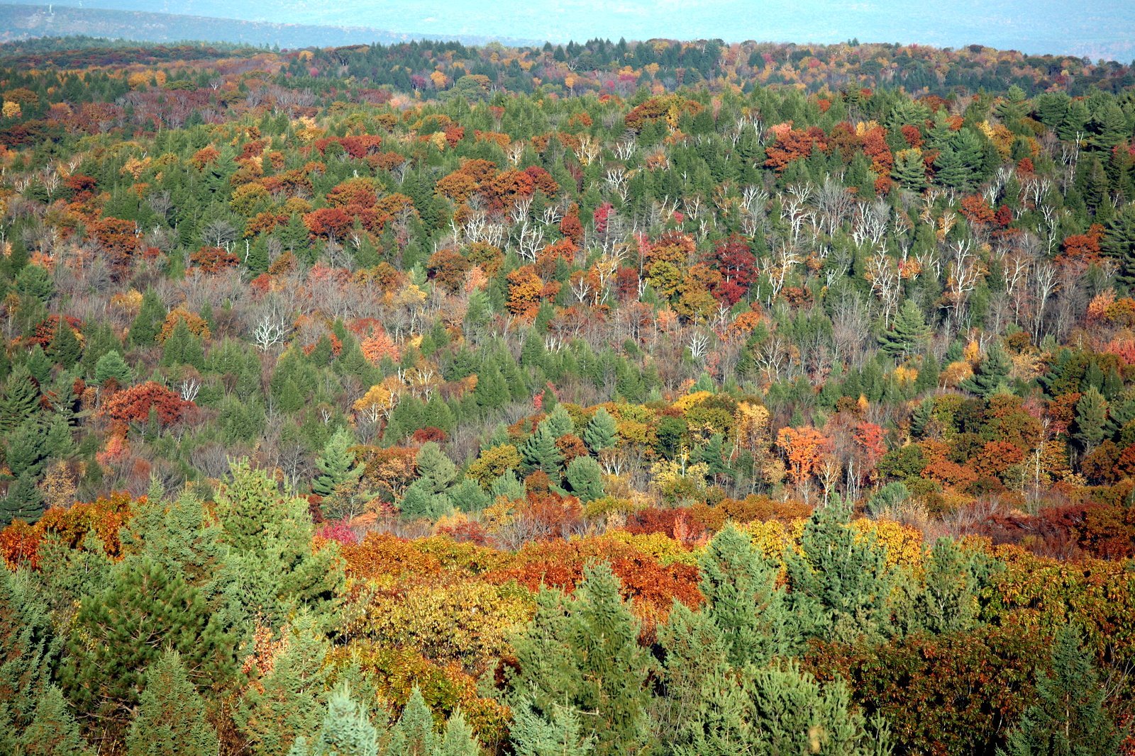 [2008-10-17+1659488.JPG]