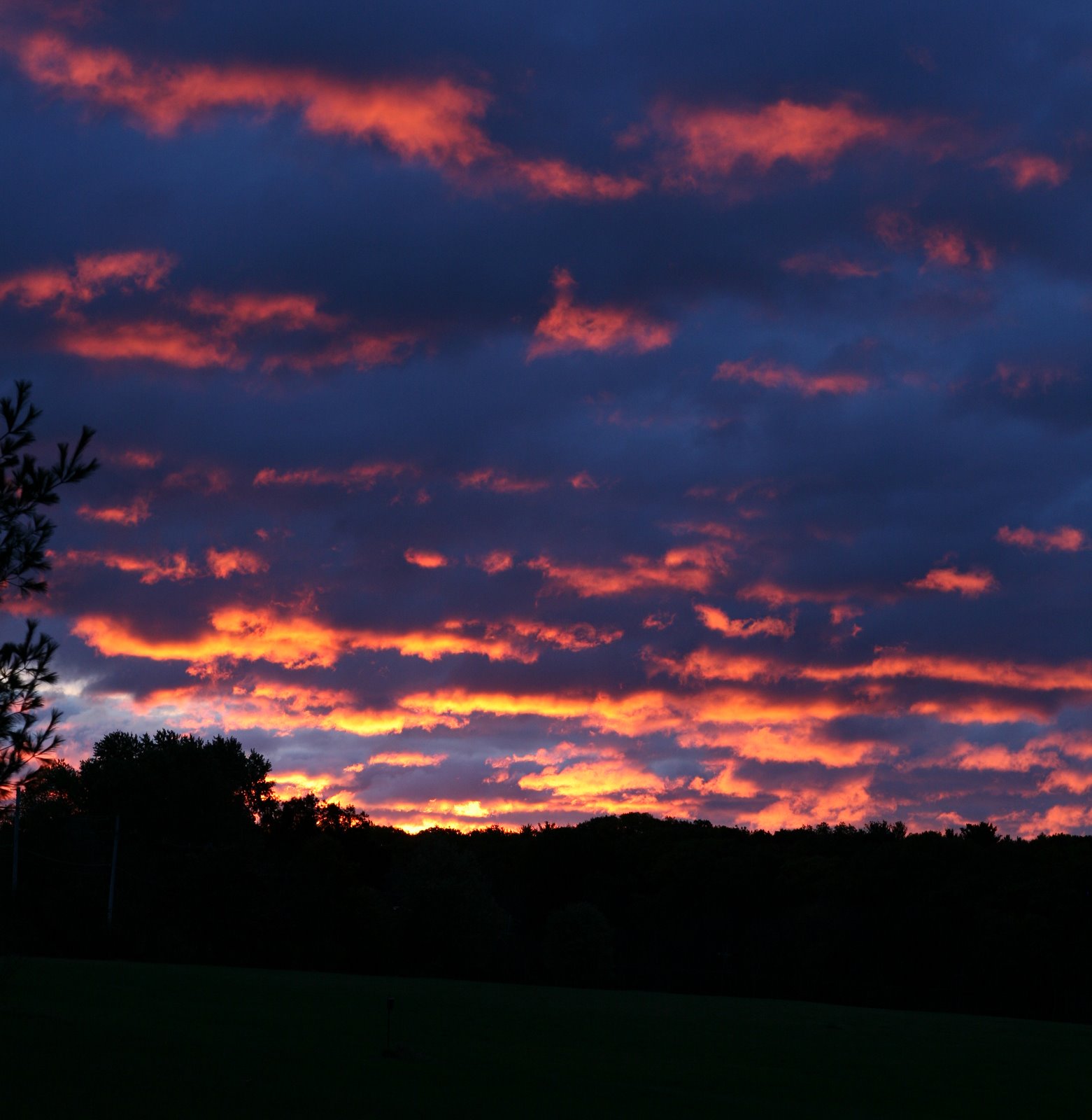 [2008-10-29+0717123.JPG]