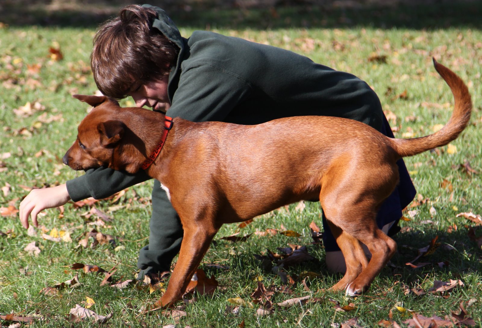 [2008-11-09+1243502.JPG]