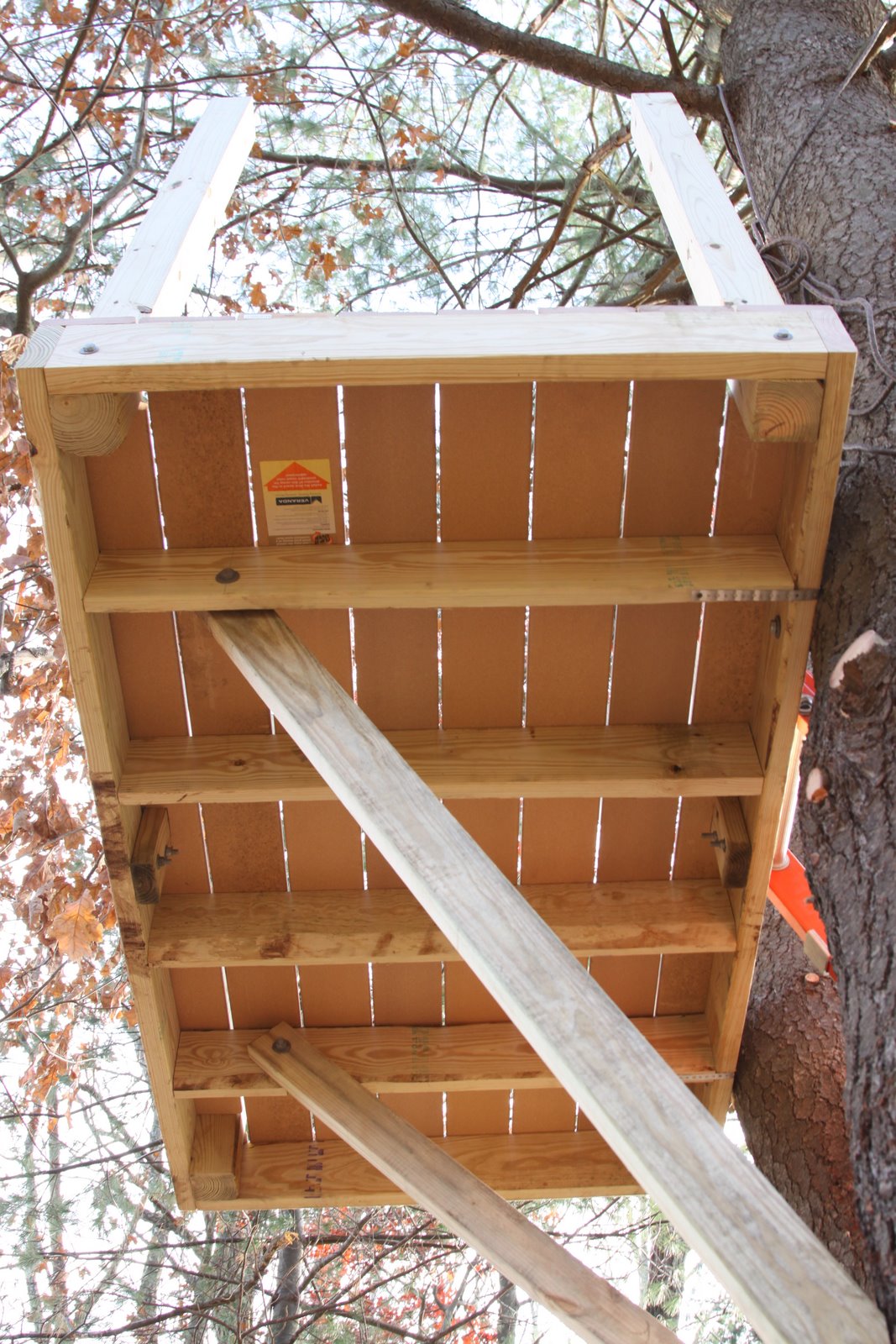 [2008-11-10+0834339.JPG]