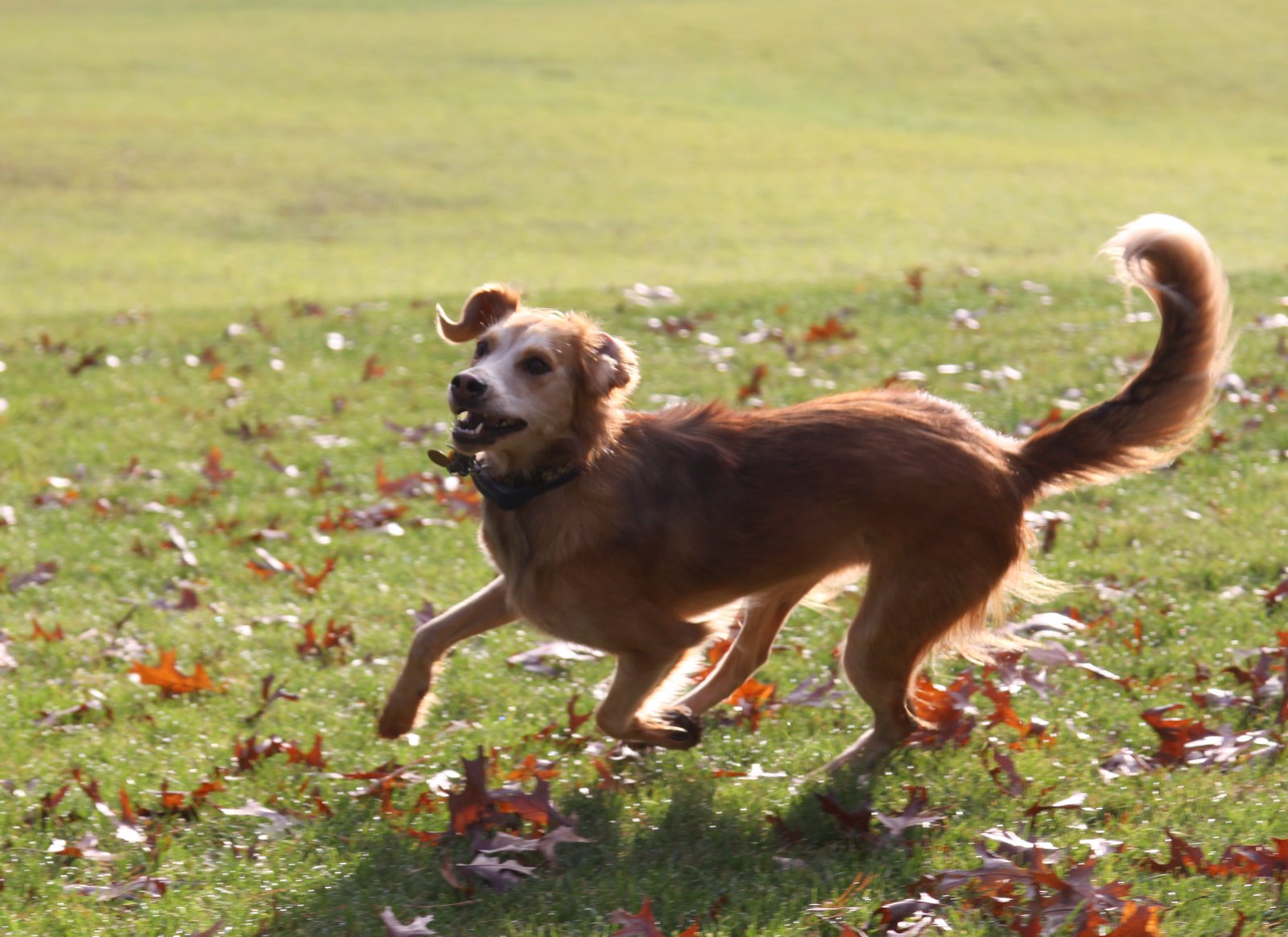 [2008-11-10+0835378.JPG]