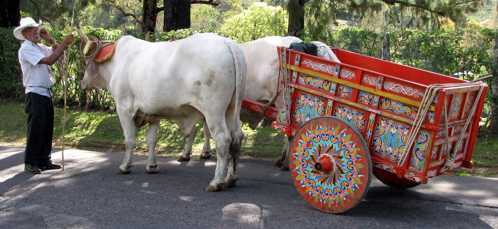 [2008-12-24+0904305.JPG]