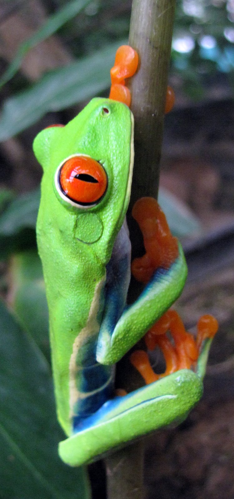 [2008-12-24+1551268.JPG]