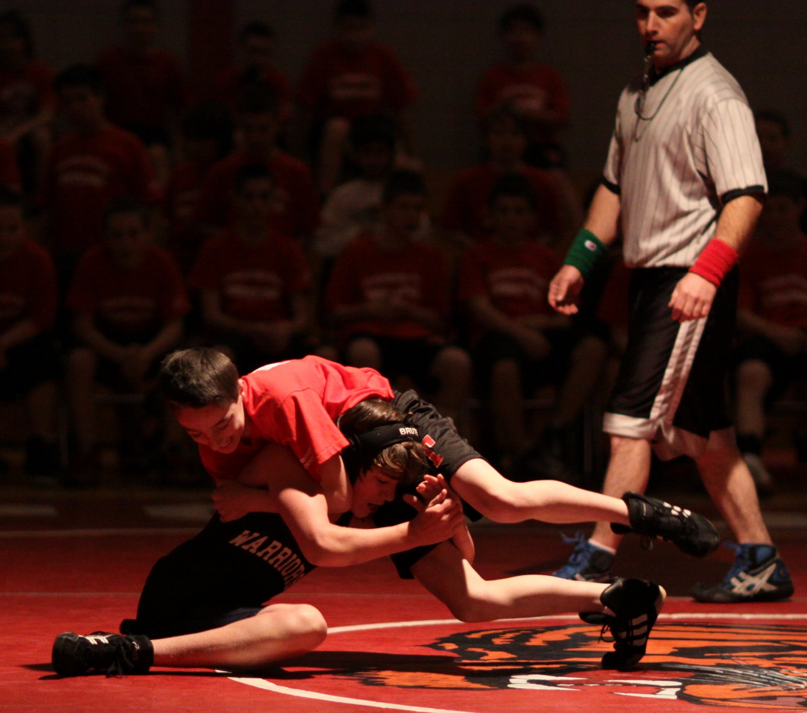 [2009-01-03+1750395.JPG]