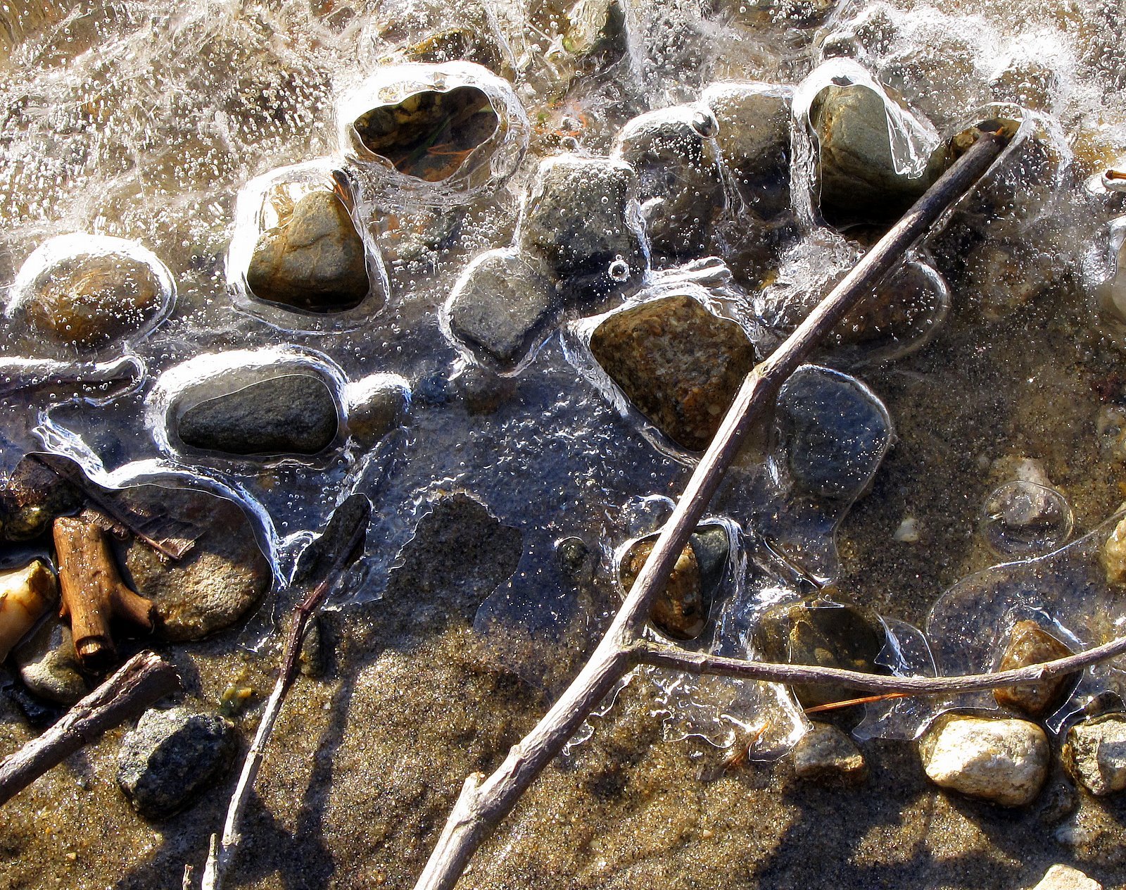 [2009-03-13+160439+4.JPG]