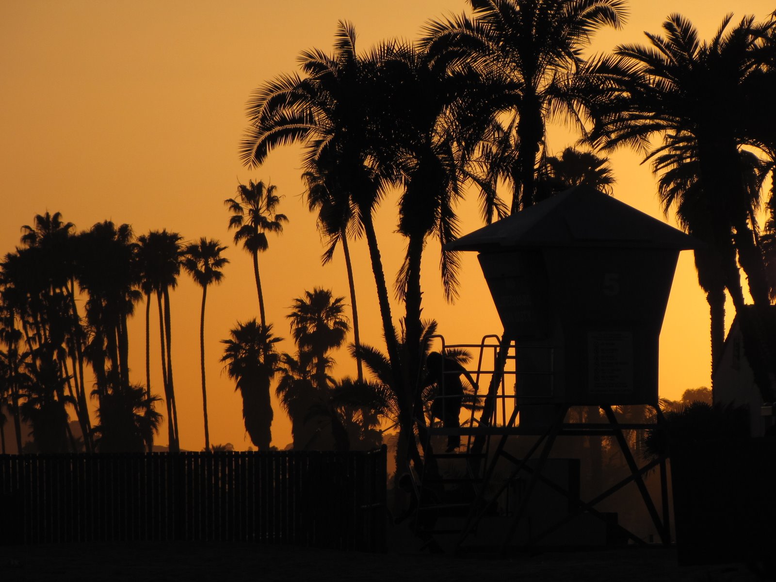 [2009-03-24+210155+7.JPG]