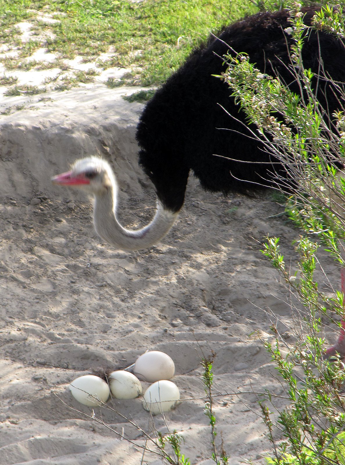 [2009-03-25+192642+1.JPG]