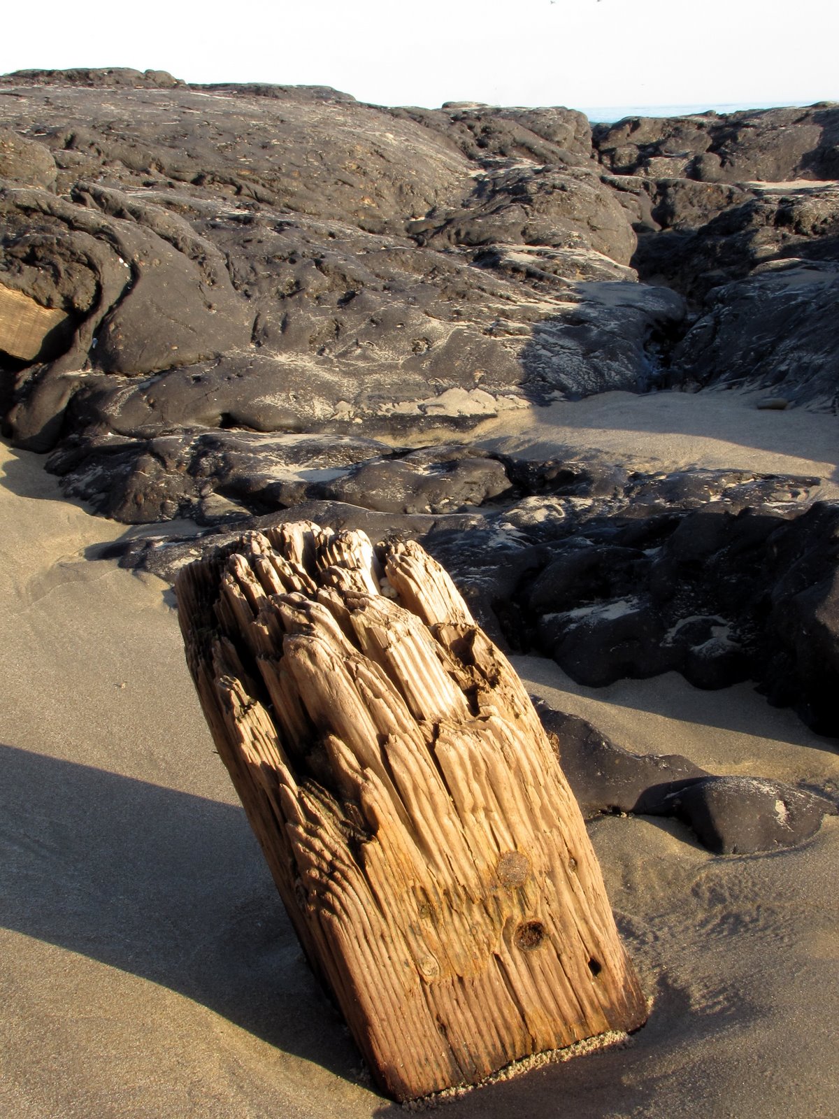 [2009-03-23+201803+0.JPG]