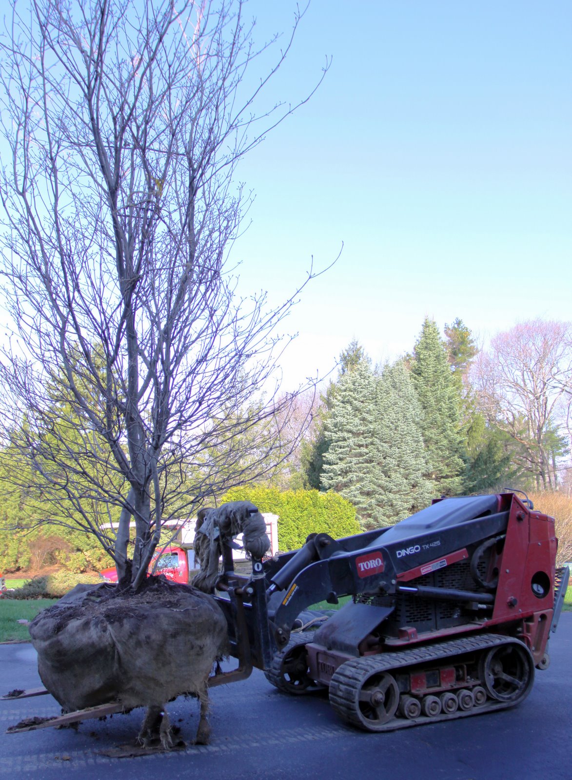 [2009-04-23+082316+8+copy.jpg]