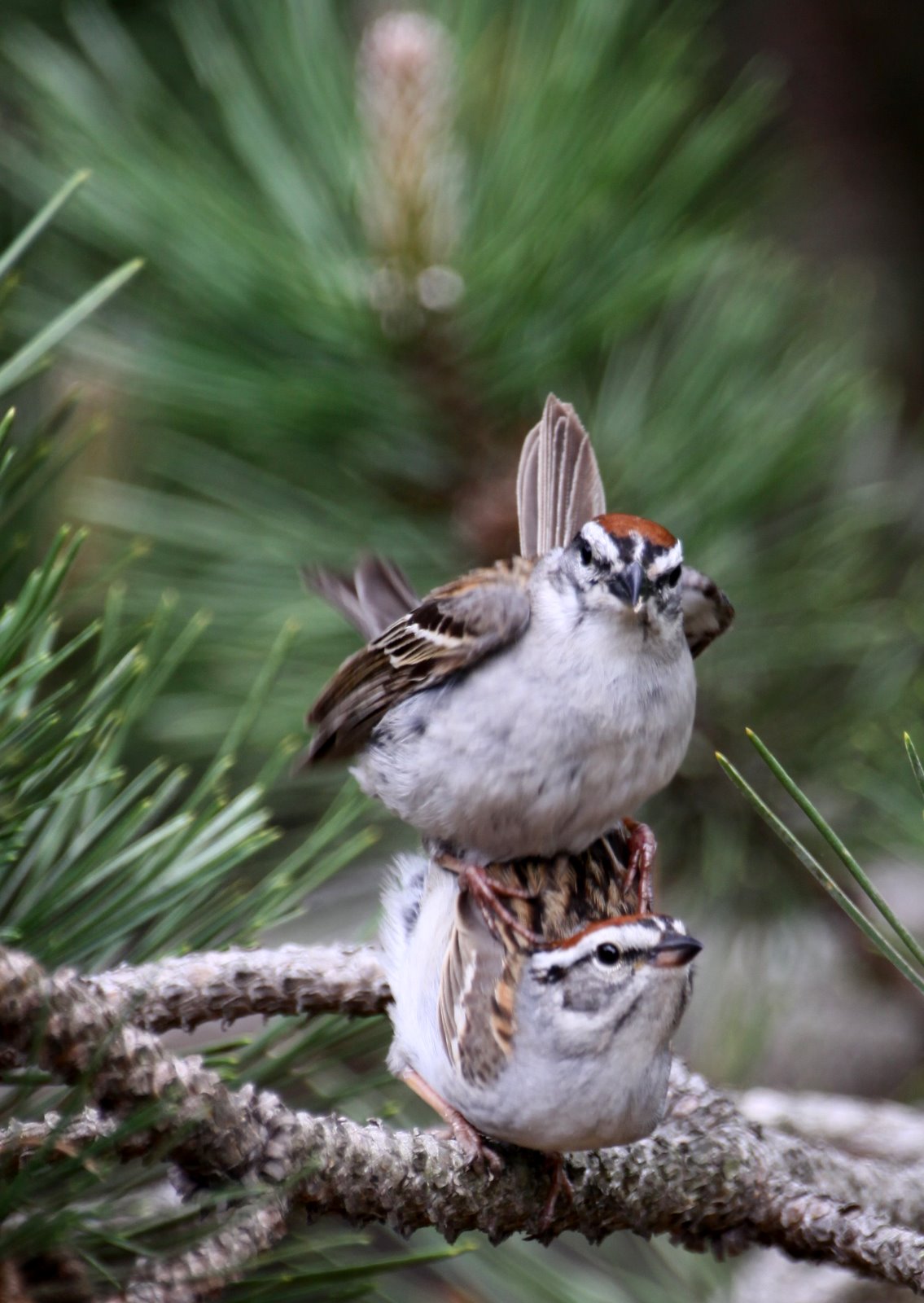 [2009-05-16+101850+8.JPG]