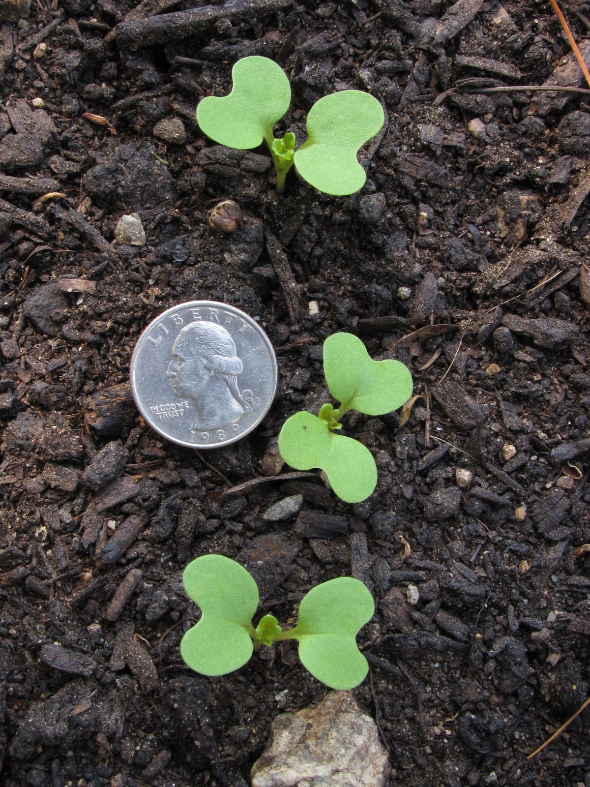 [2009-05-16+090839+4.JPG]