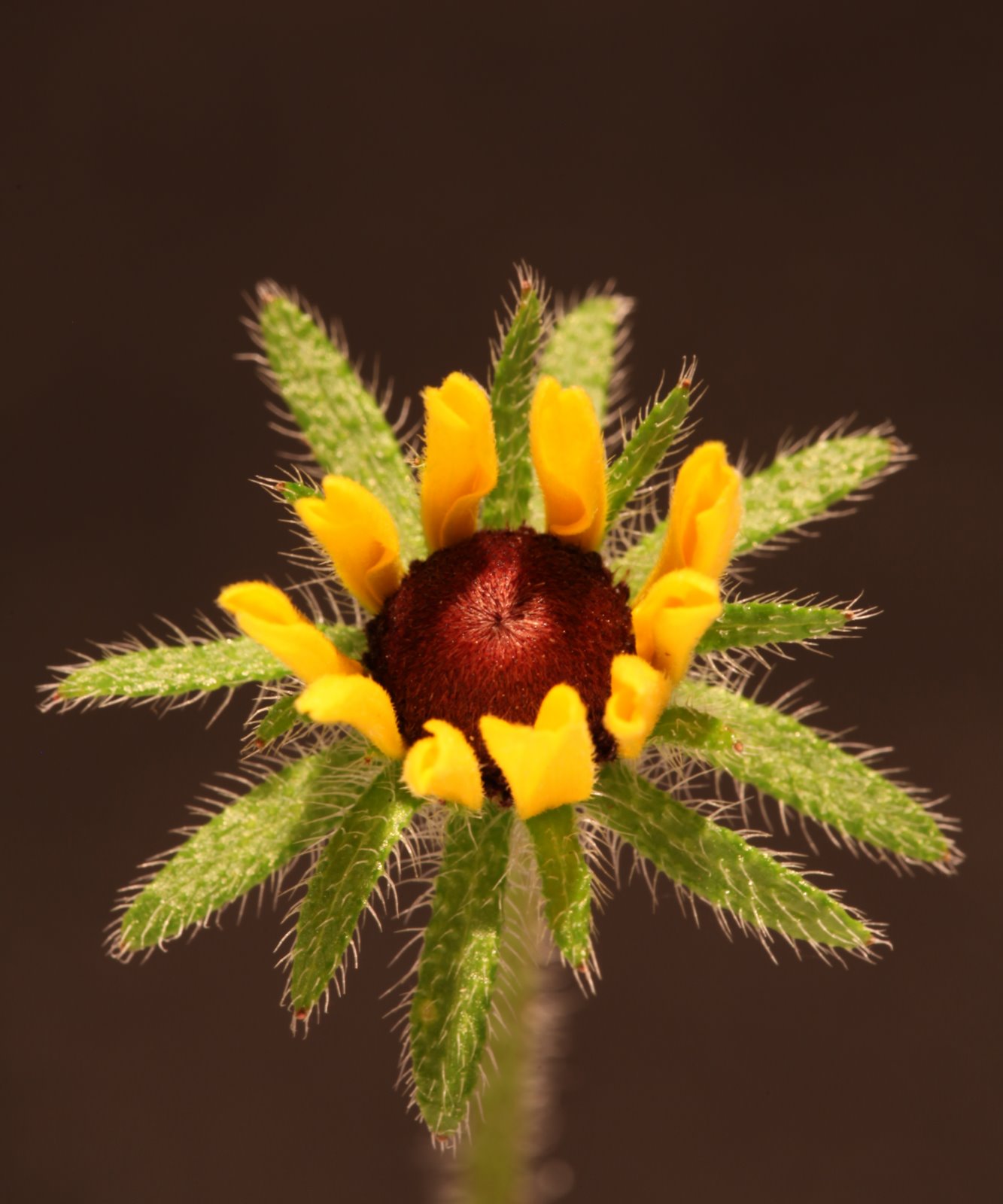 [2009-07-17+190409+3.JPG]