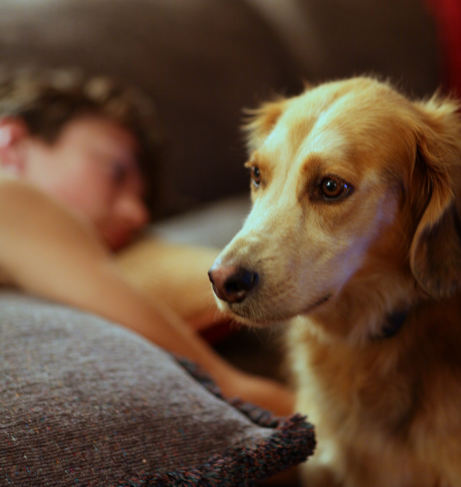 [2009-08-18+190208+8.JPG]