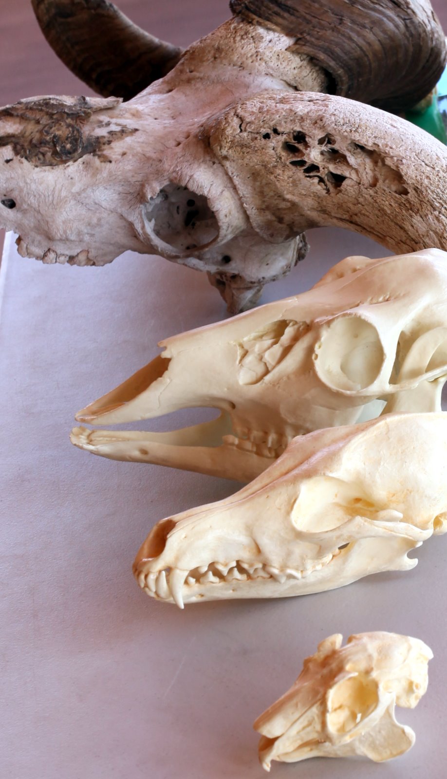 [2009-07-28+124944+8.JPG]