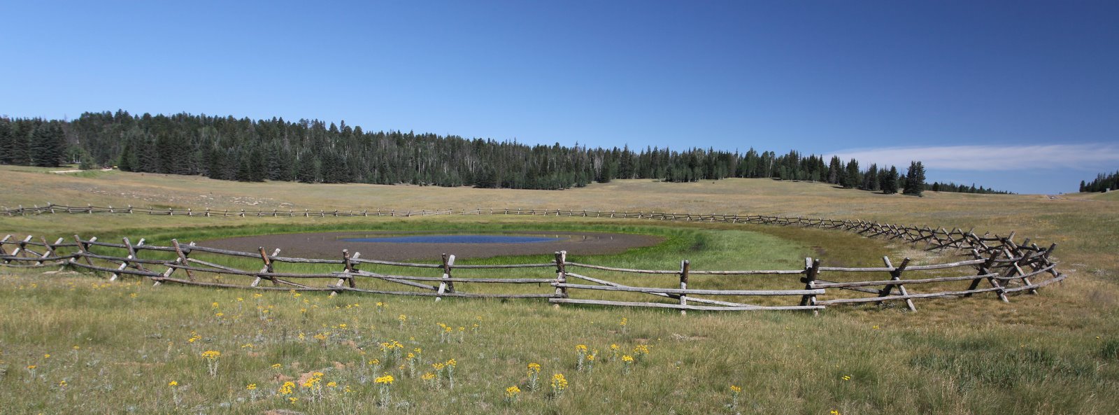 [2009-08-03+094609+5.JPG]