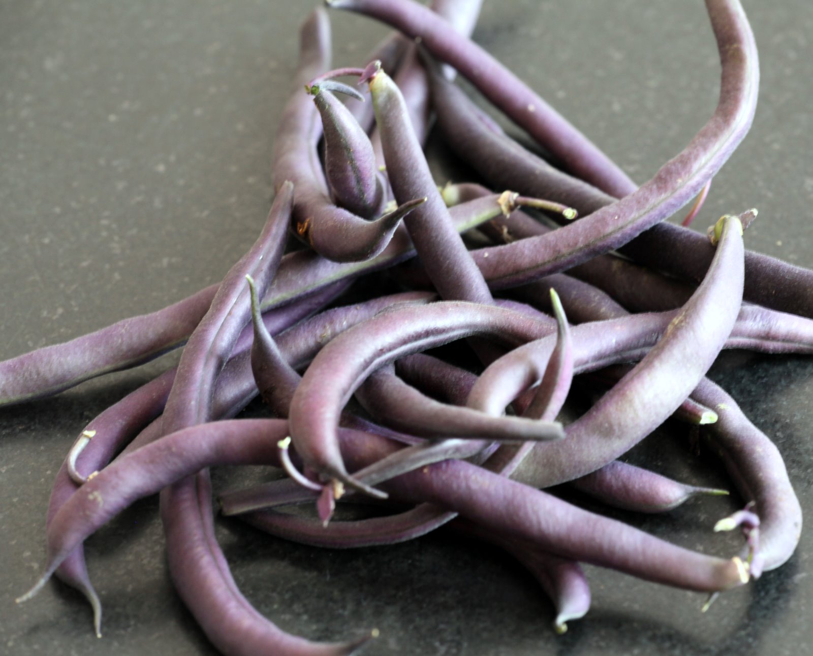 [2009-08-06+085833+1.JPG]