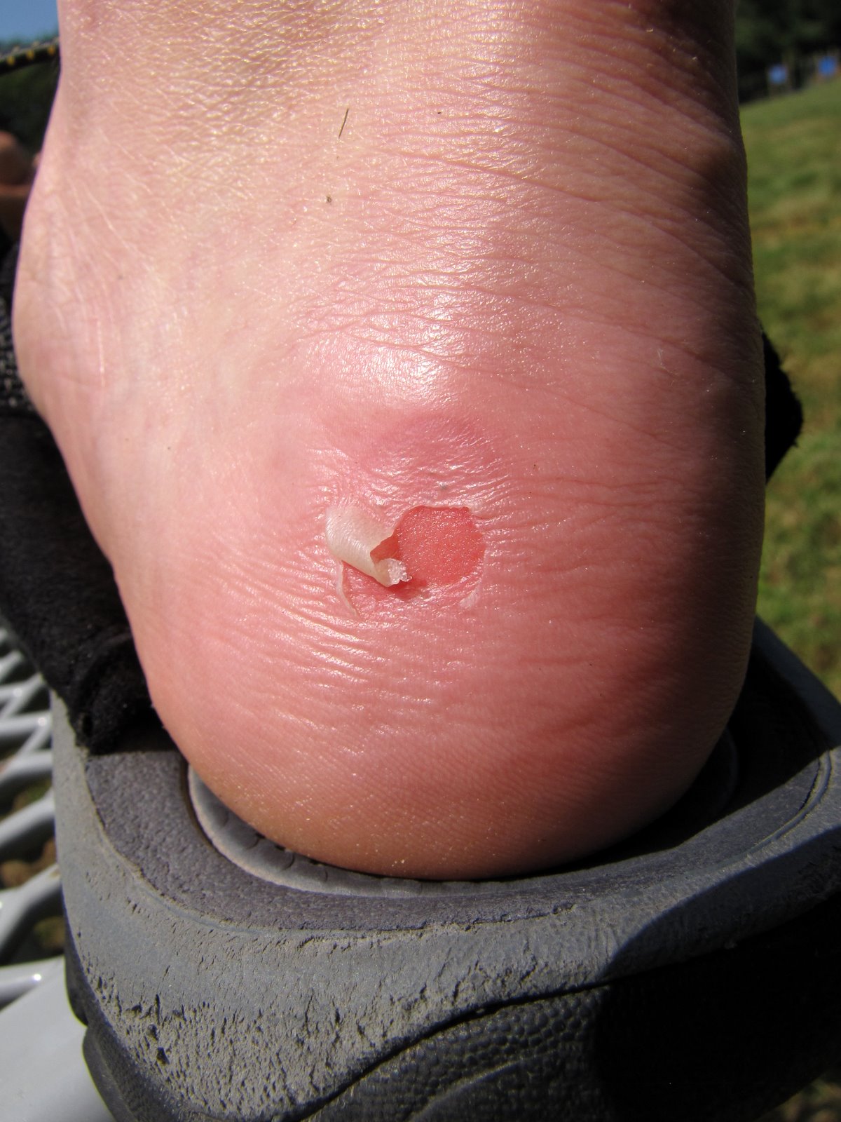 [2009-08-15+130115+4.JPG]