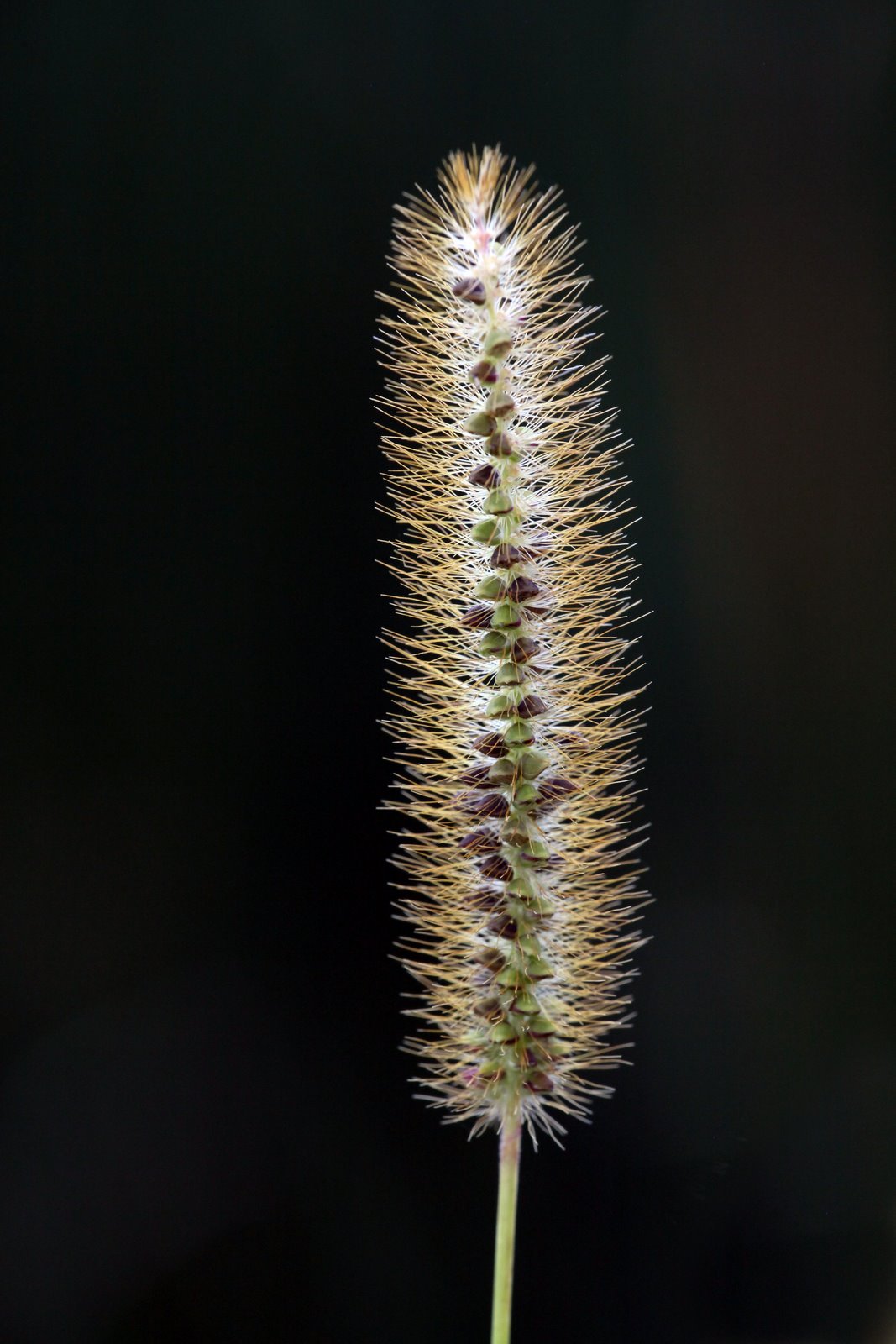 [2009-09-13+165842+1.JPG]