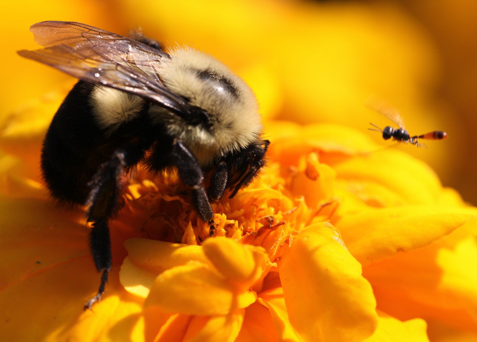 [2009-10-04+161313+6.JPG]