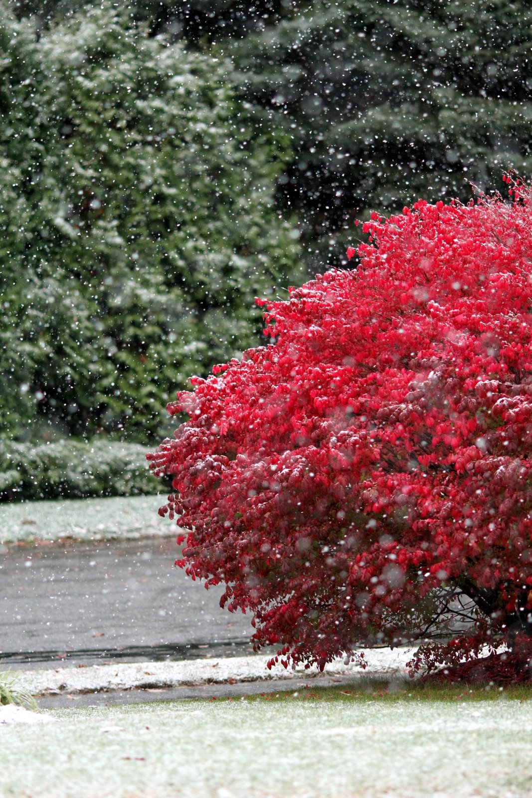 [2009-10-18+170551+3.JPG]