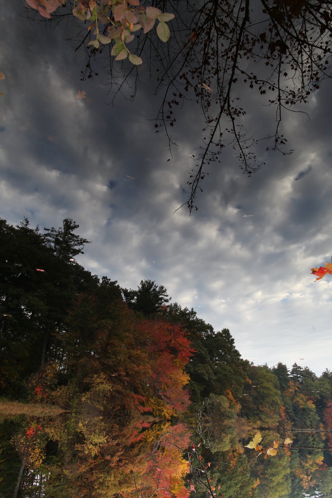 [2009-10-21+081529+0.JPG]