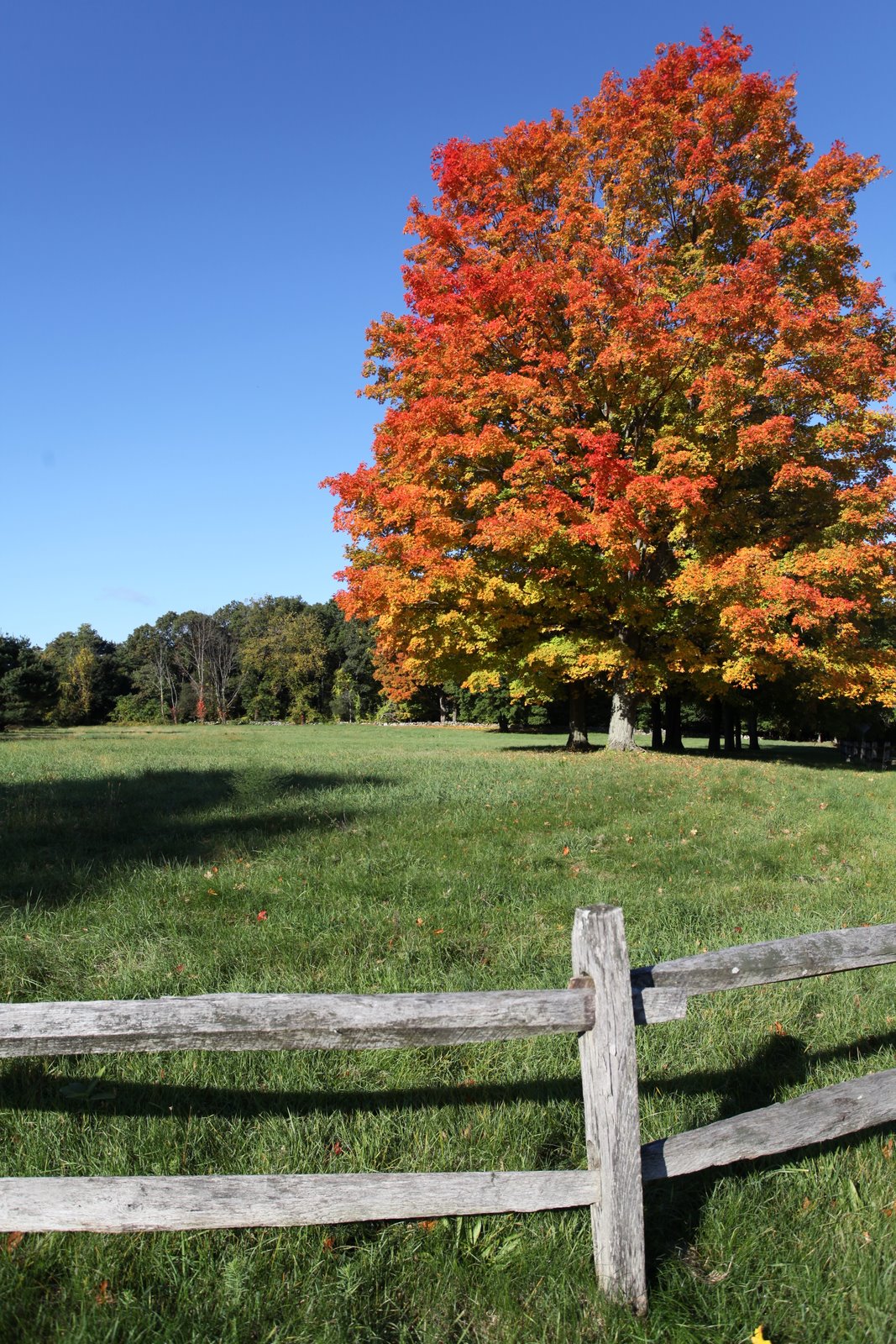 [2009-10-14+093235+5.JPG]