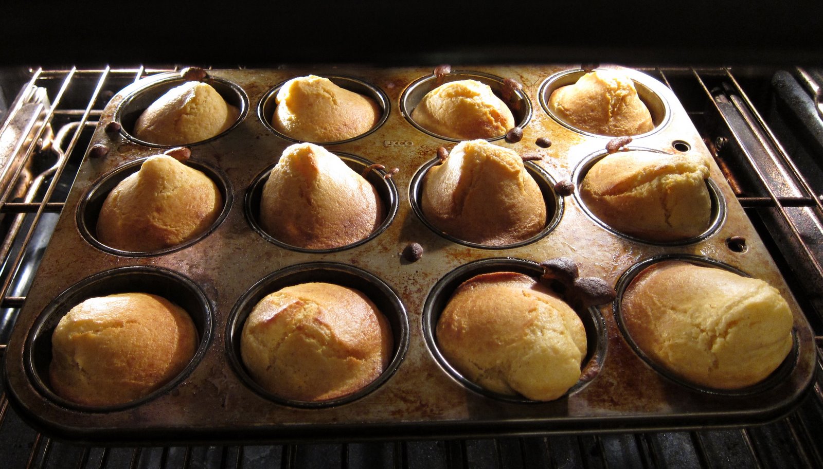 [2009-11-05+185626+235.JPG]