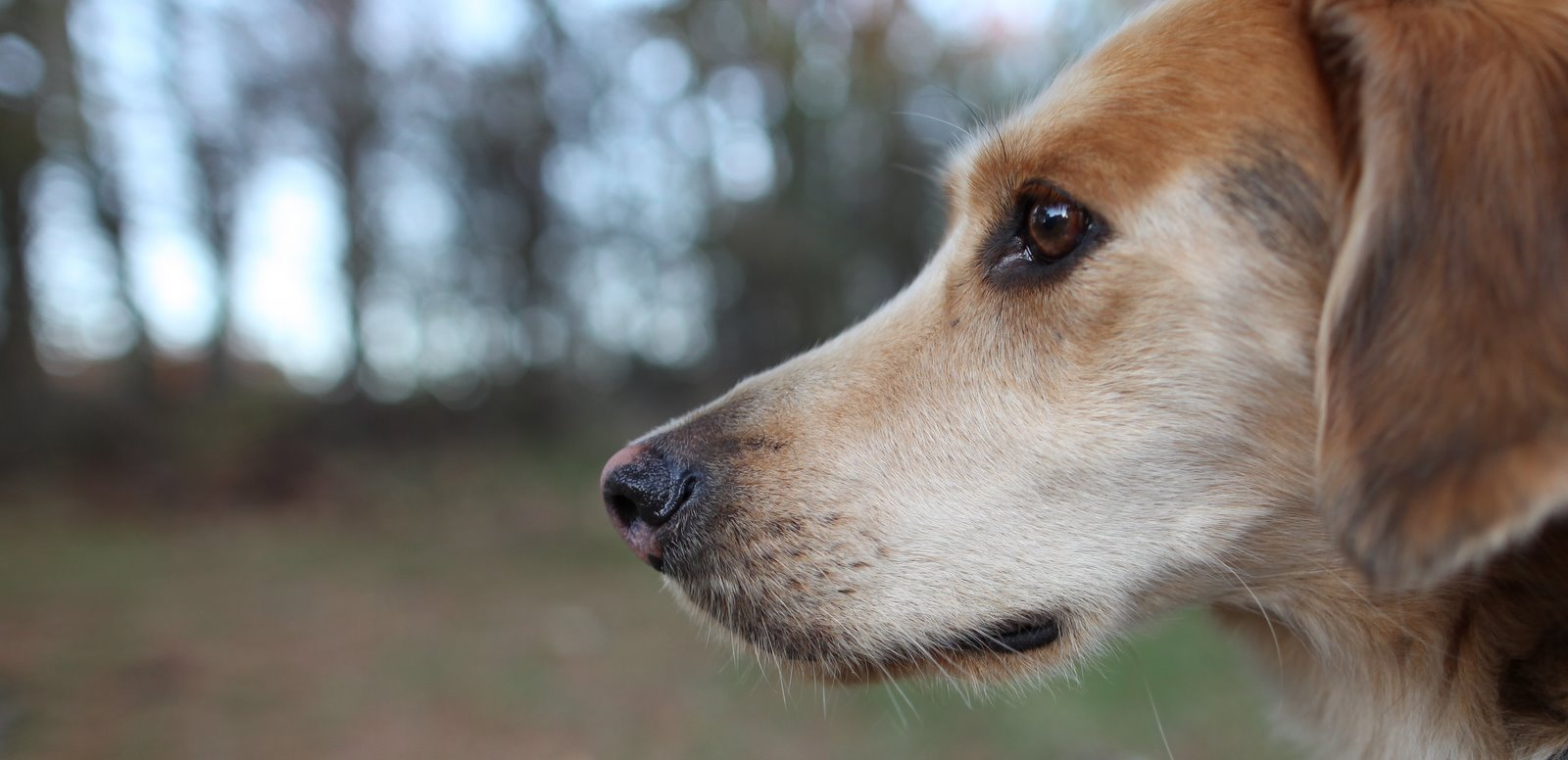 [2009-11-08+161120+104.JPG]