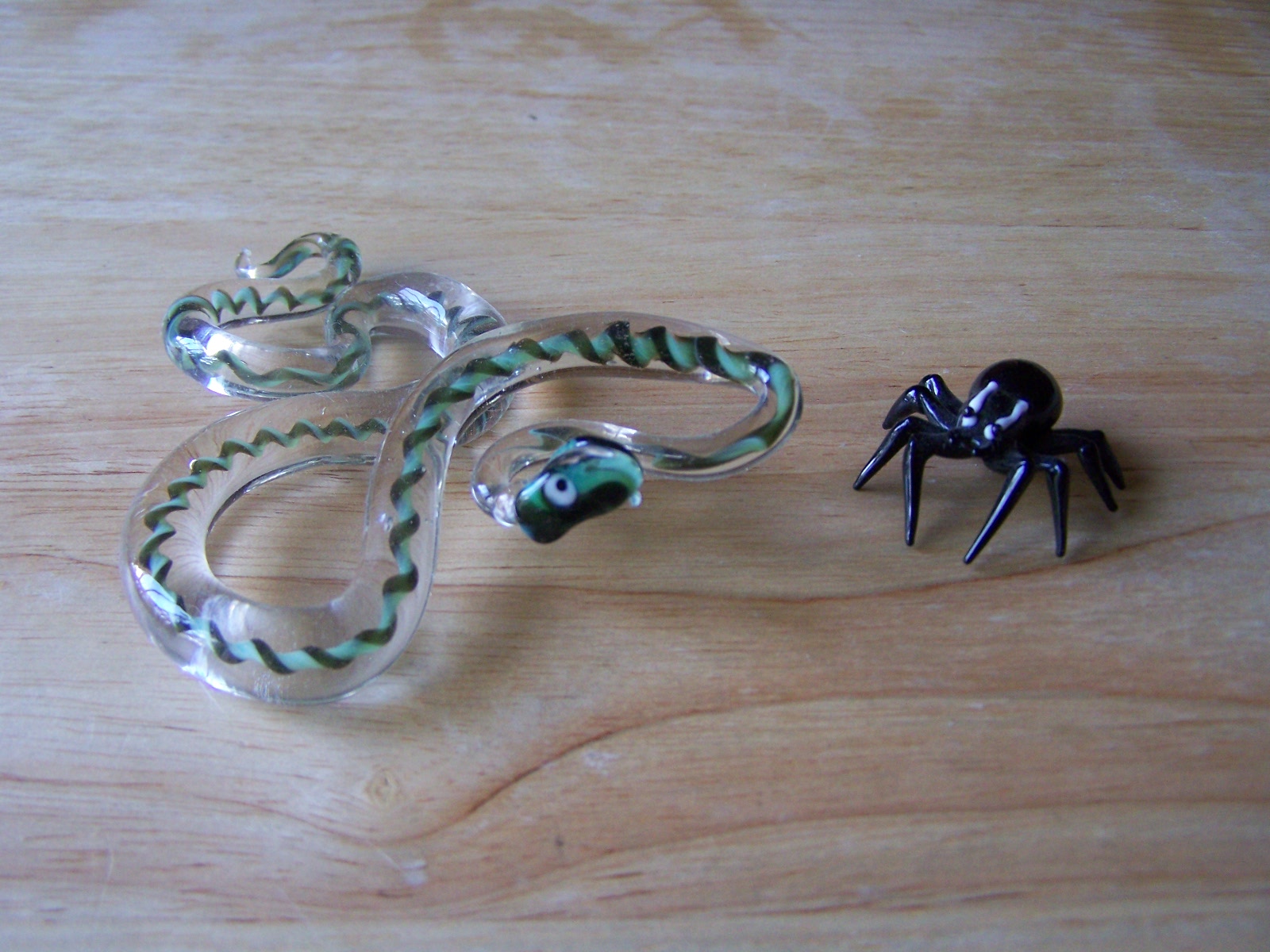 Kind Of Spider