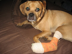 Eddie's boo boo