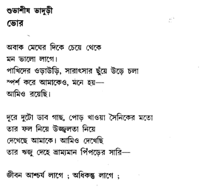 Bengali Poem by Shubhashis Bhaduri