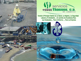 Thassos Consultores (Venezuela)