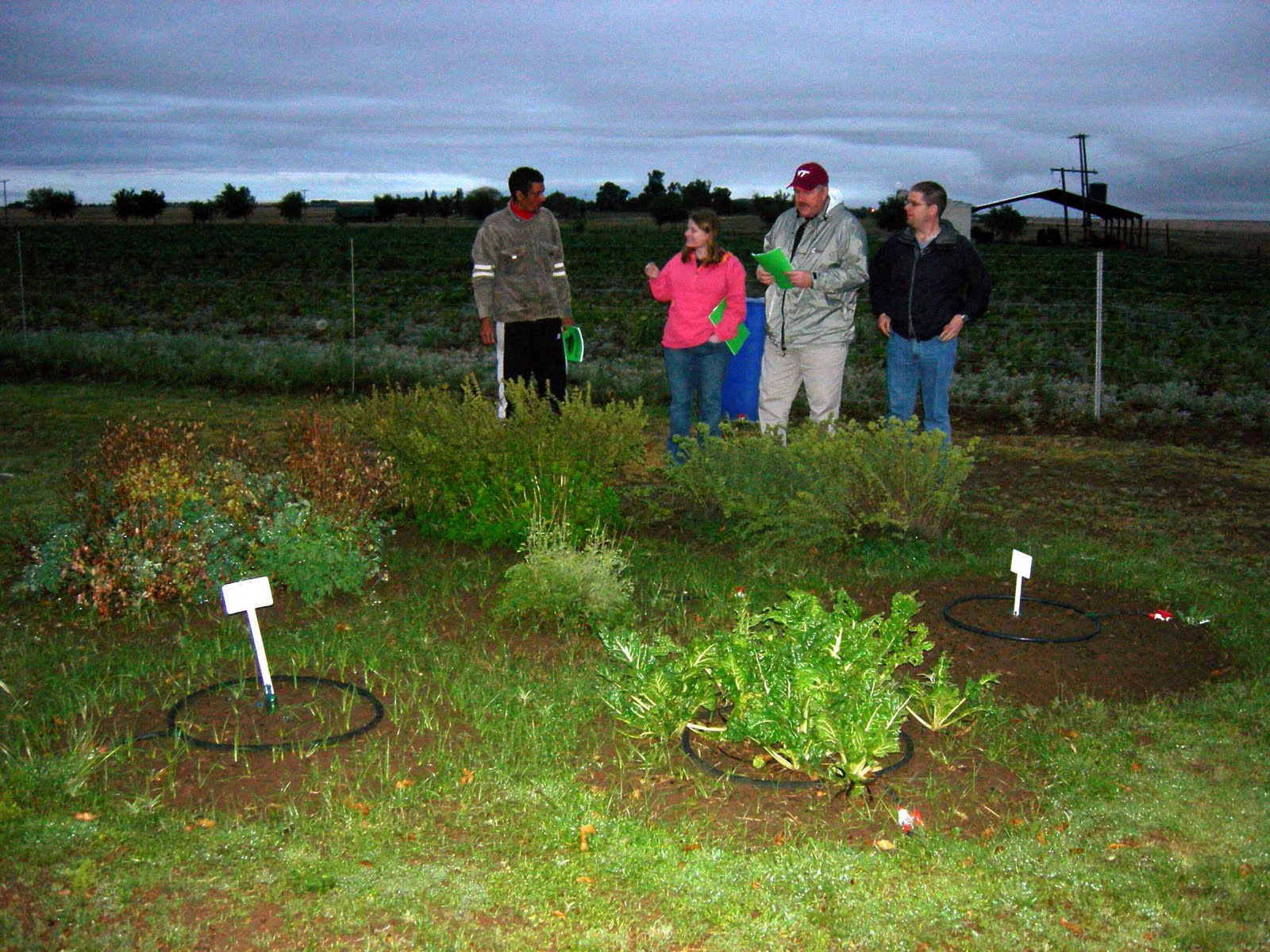 T5-3 Contaminants: April 2010