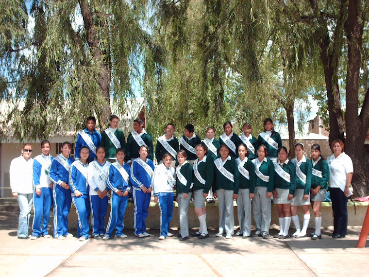 Consejo Estudiantil de Guachochi, Chih