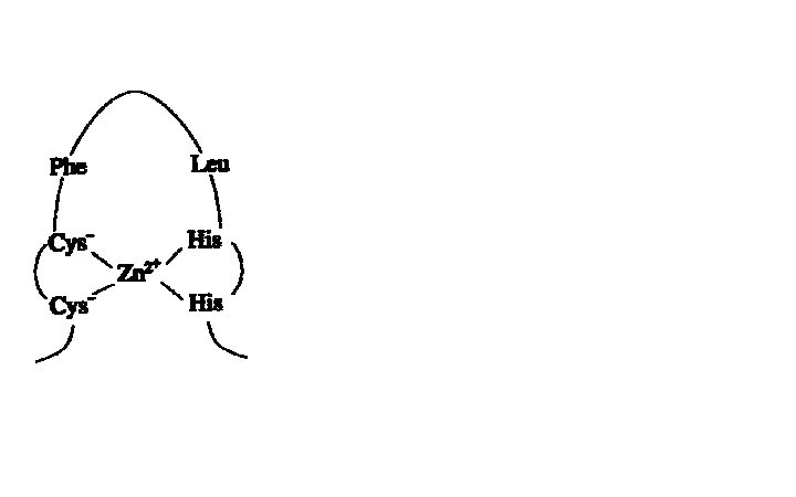 AlQuímicos Dedos de zinc