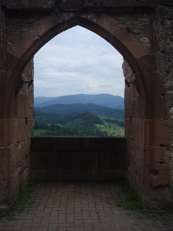 Alexander Lapajne S Cycle Racing Blog Vaude Trans Schwarzwald 2015